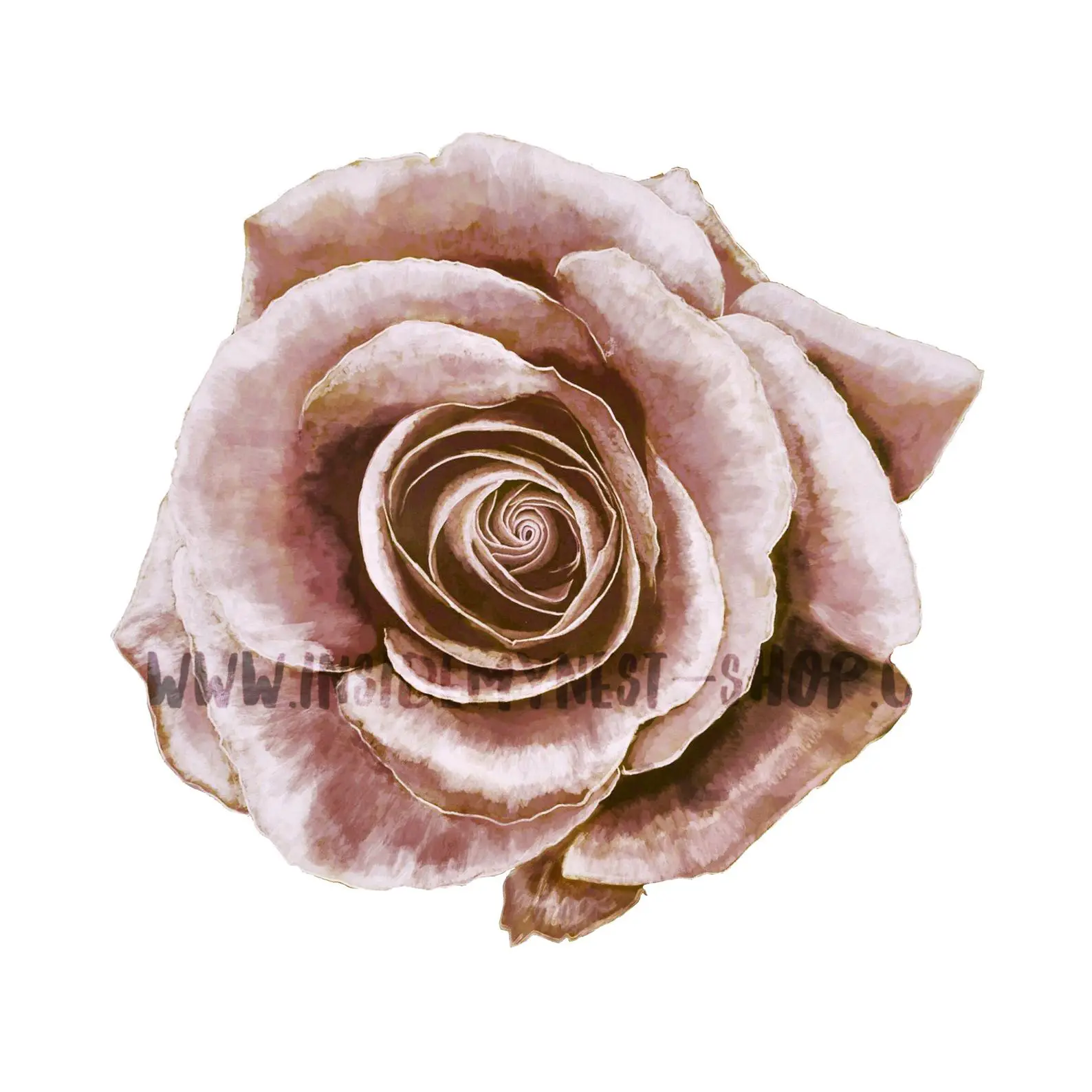 How to paint watercolour roses
