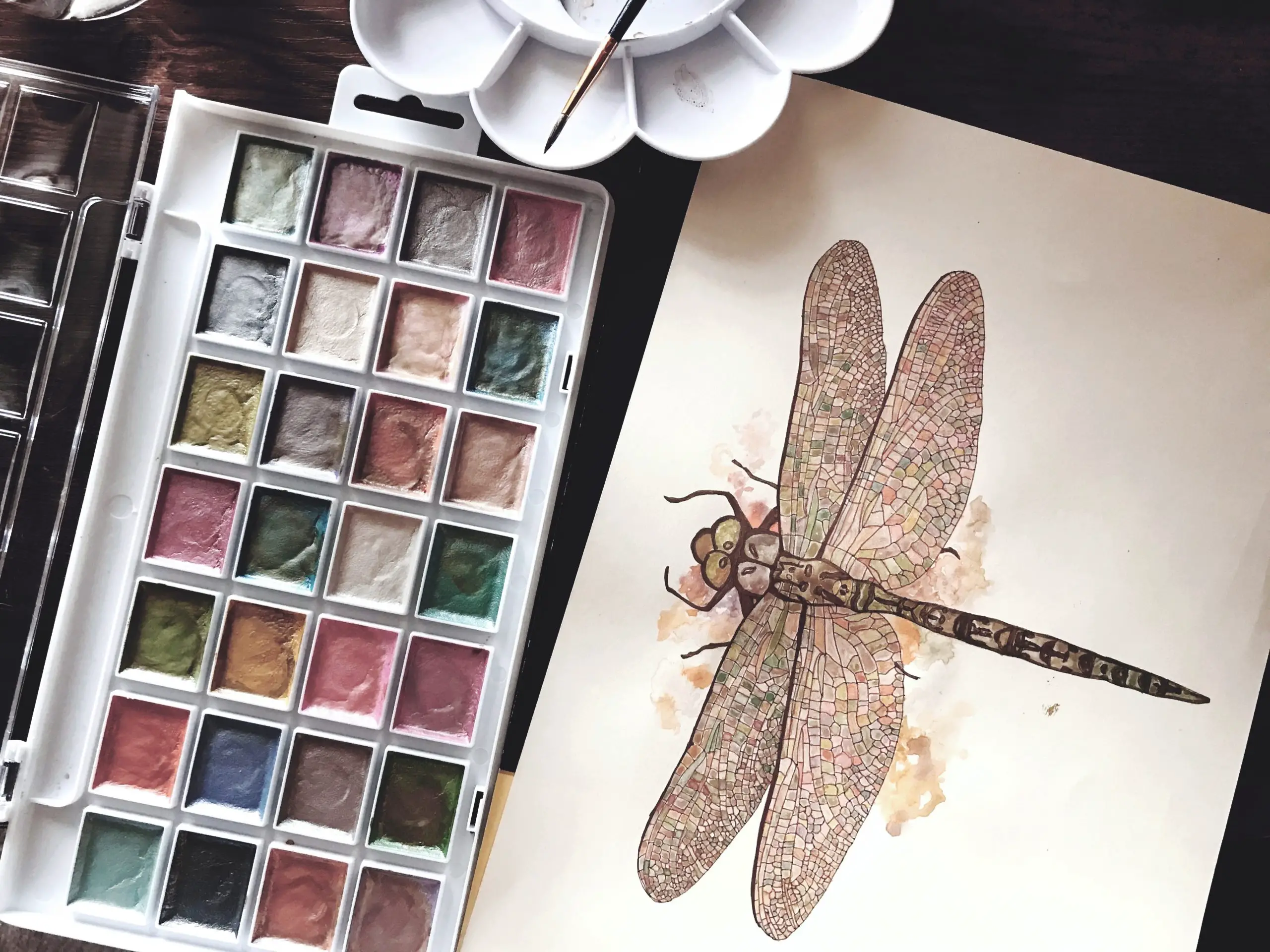 how to paint a watercolour dragonfly