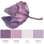 purple colour palette