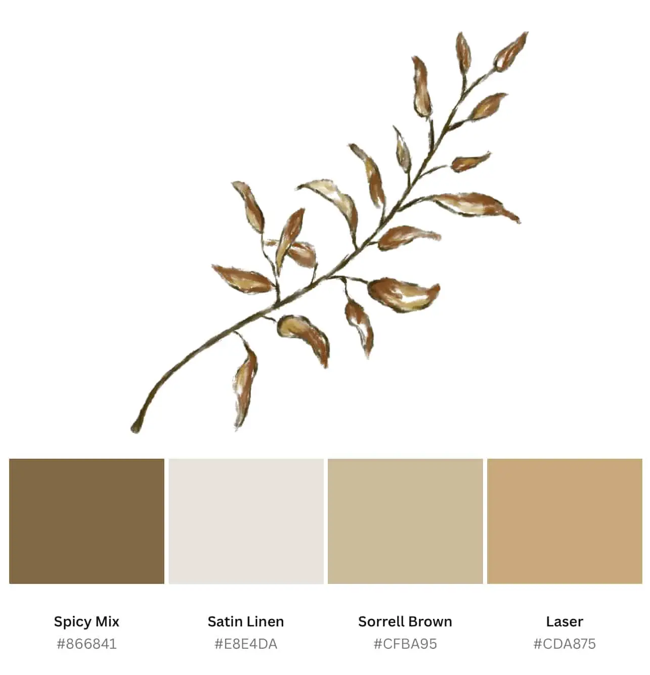 brown colour palette