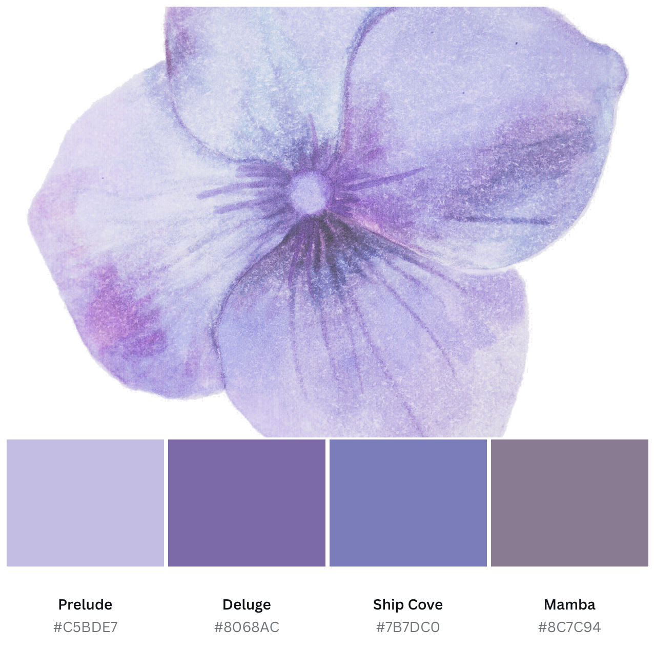 blue purple colour palette