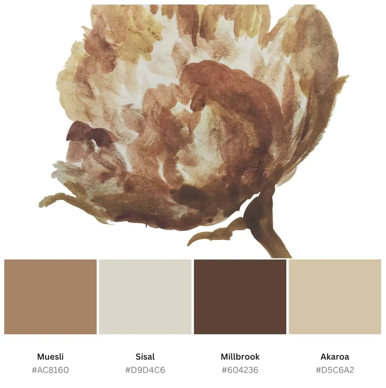 brown color palette