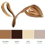 brown terracotta color palette