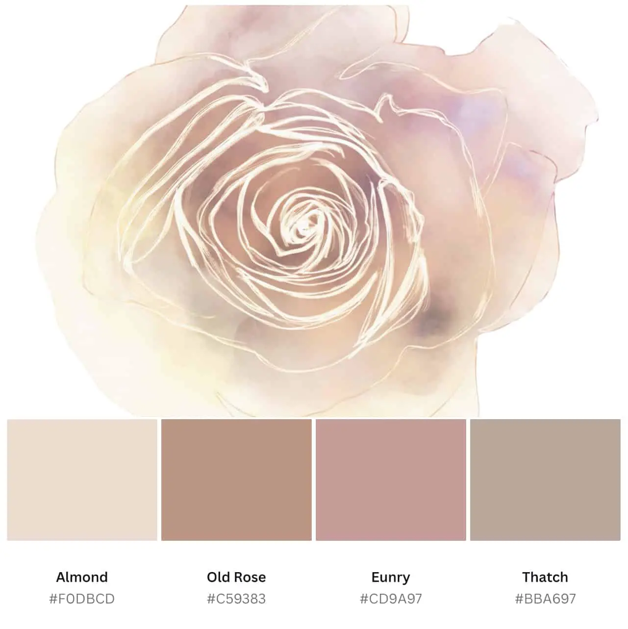 blush color palette