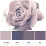 dusty purple color palette
