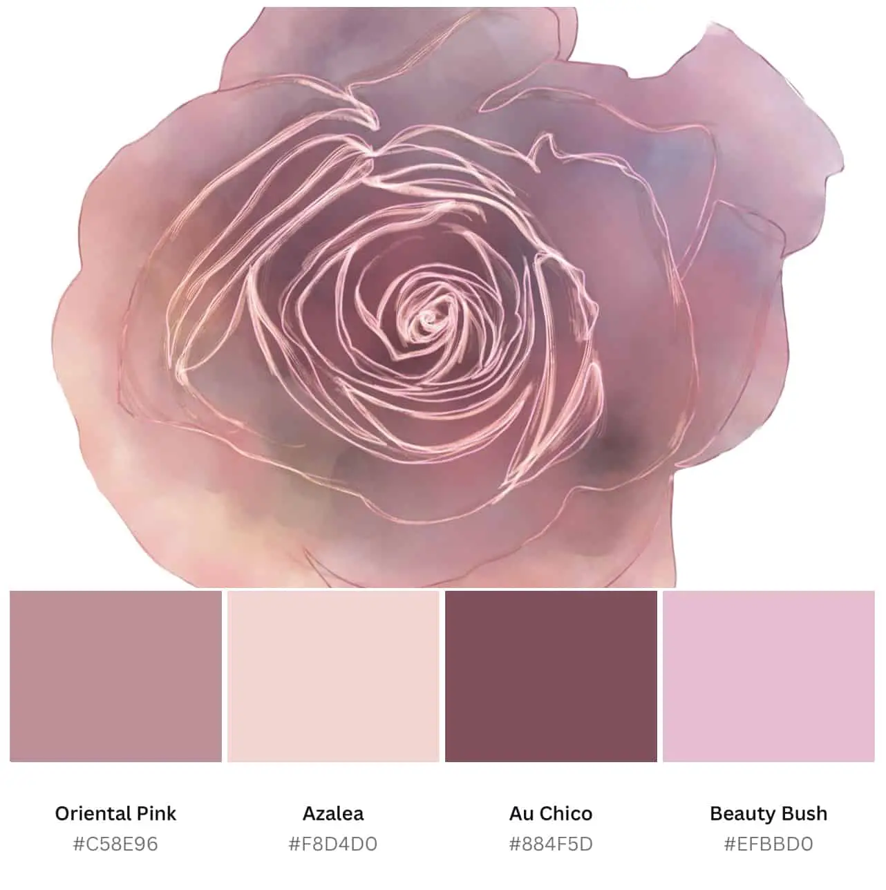blush and burgundy color palette