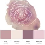 blush rose color