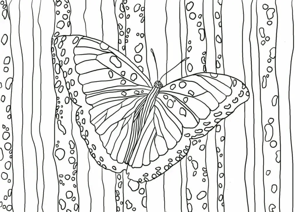 Detailed monarch butterfly coloring page free printable