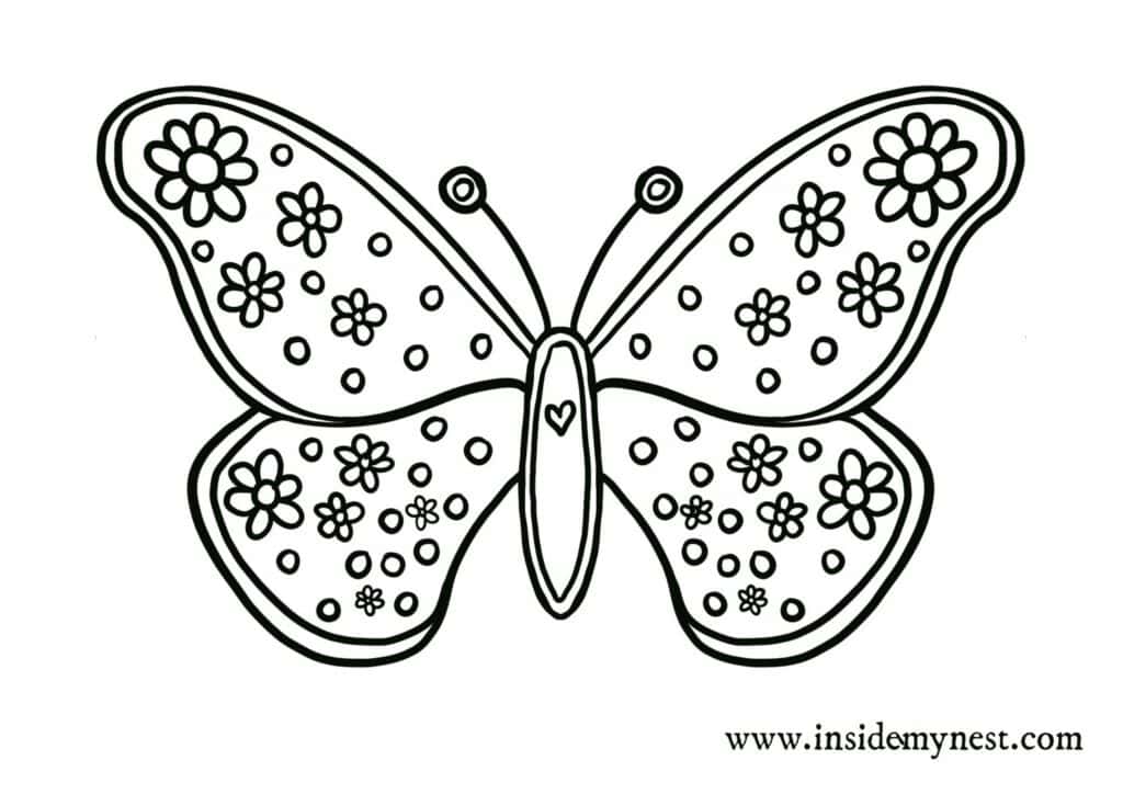 Simple butterfly coloring page Daisy flowers