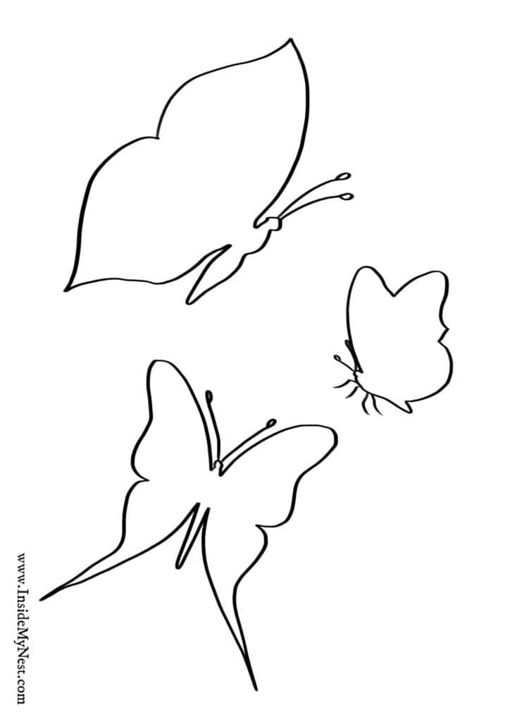 Butterfly outline multiple template free printable