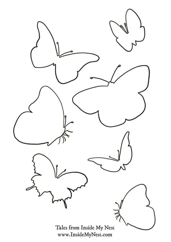 Butterfly outline multiple template free printable
