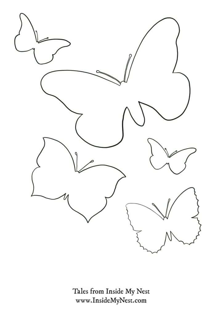 Butterfly outline free printable